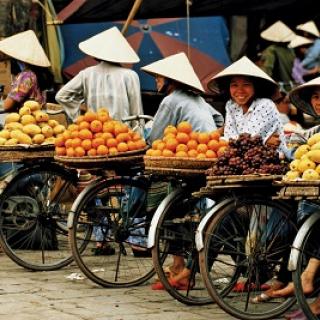 фото с сайта baron-m.ru