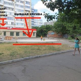 Фото Елены Налимовой