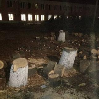 Фото ИА «Версия-Саратов»