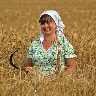 Фото с сайта stost.ru