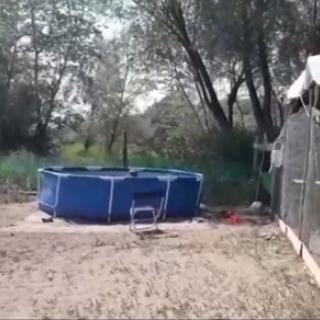 Фото с портала «Про Вольск»