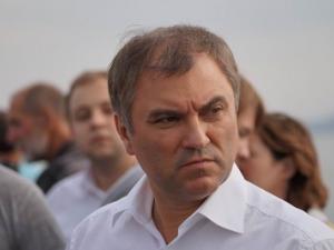 Председатель Госдумы Вячеслав Володин
