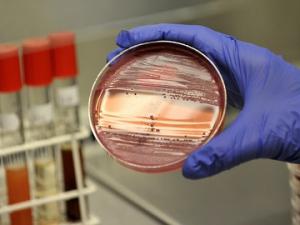 Фото с сайта prooren.ru