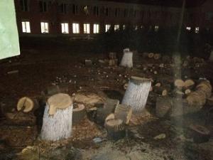 Фото ИА «Версия-Саратов»