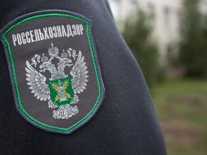 Фото с сайта news.yandex.ru